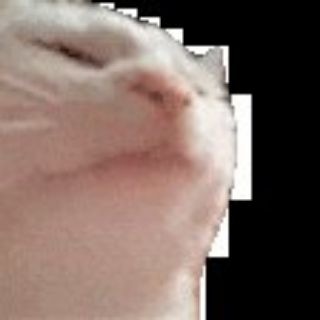 Логотип @akstolfo1 - Кошан akstolfo