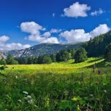 Логотип @aktualno23 - Актуальный Крд