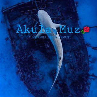 Логотип @akula_music_channel - 𝙰𝚔𝚞𝚕𝚊 𝙼𝚞𝚣 🥀