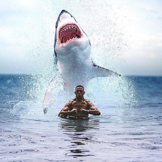 Логотип @akula_muzika - 🦈Akulla Mussic🦈