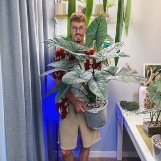 Логотип @al_plant - Алексей и его растения