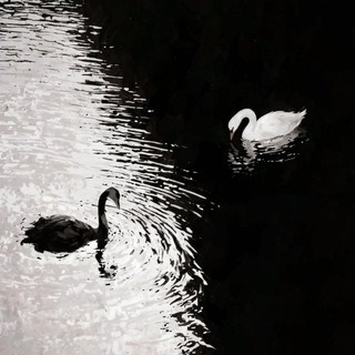 Логотип @al_sabar - M