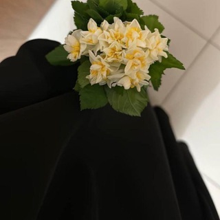 Логотип @alalakakl - лораде са дог.