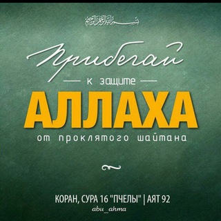 Логотип @alamul_djinn - 1аламуль-джинн