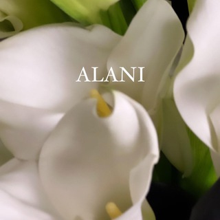 Логотип @alani_brand - Alani