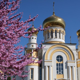 Логотип @alanian_eparhia - Владикавказская и Аланская епархия