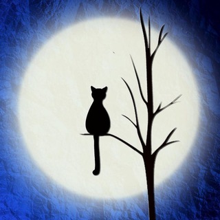 Логотип @albmot - Albmot