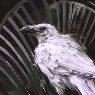 Логотип @albus_corvus_channel - Гнездо белого ворона