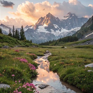 Логотип @albustaaan - Сад🍃✨