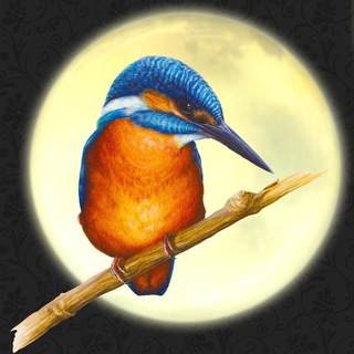 Логотип @alcedojewelryart - ALCEDO JEWELRY