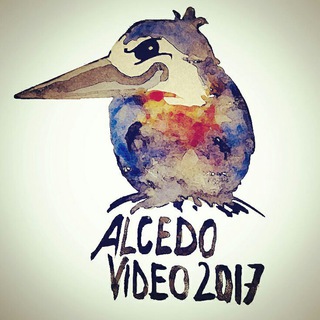 Логотип @alcedovideochat - Alcedo Video Fan