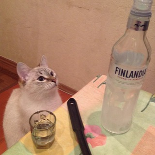 Логотип @alcosp - алкоголь после спорта