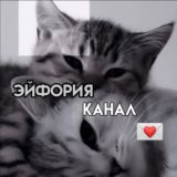 Логотип @aldovskye - закрыто