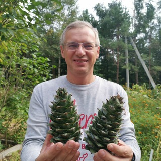 Логотип @AlekseevDNS - Алексеев ДНС