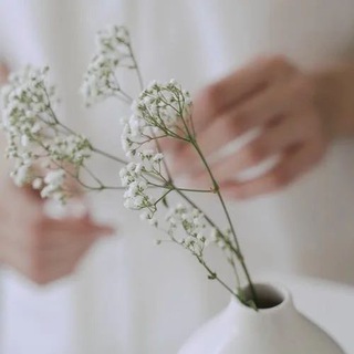 Логотип @alena_tolmaveva - Видео для Сторис