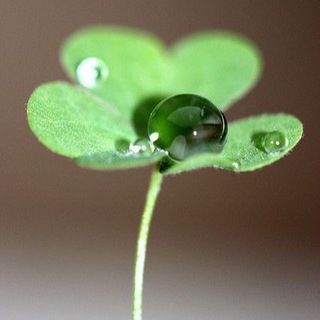 Логотип @alenagraf44 - ПРО ЖИЗНЬ | ЗДОРОВЬЕ | РЕМОНТ | ТРЕНИРОВКИ