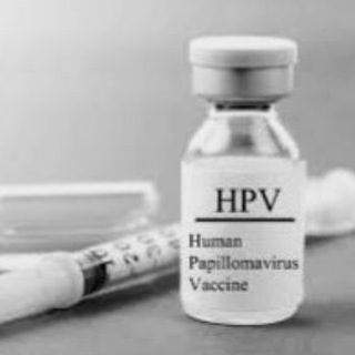 Логотип @alerthpvvax - Vaccino HPV Papilloma virus 🔔
