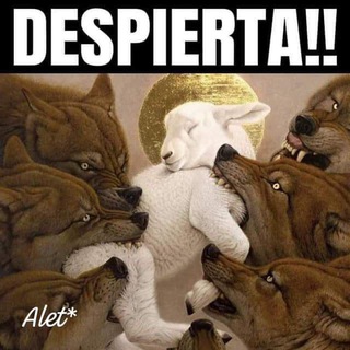 Логотип @aletobal - 🕸"SOMOS RED, SOMOS RESISTENCIA, SOMOS ALQUIMISTAS🕸 💥LA BIBLIOTECA DE ALET*🥷🏼💥💥💥