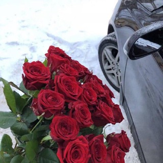 Логотип @alex_nikcash - ⭐️ ТВОЯ УДАЧА ⭐️