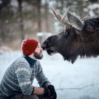 Логотип @alex_pets - Alex Enstrom