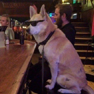 Логотип @alexa_inst - alex_inst