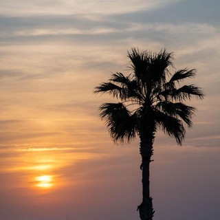 Логотип @alexandermaist - ИЗРАИЛЬСКИЕ НОВОСТИ ГЛАЗАМИ ТЕХ, ЧЬЕ МНЕНИЕ МЫ УВАЖАЕМ