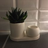 Декор из гипса 🗿