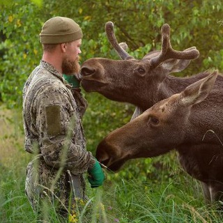 Логотип @alexeysedoyrussia - Alexeysedoyrussia