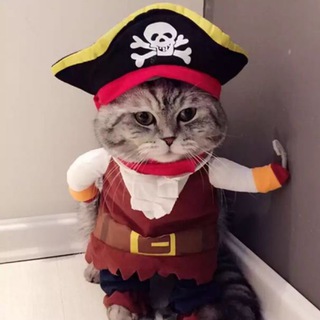 Логотип @alexis_pets - Alexis_pets