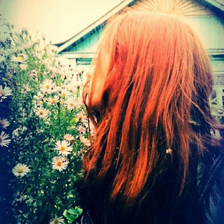 Логотип @alexlexxy - AlexLexxy