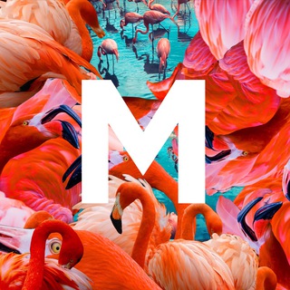 Логотип @alexmusin - MUSIN