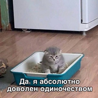 Логотип @alexnotes9 - VZVод алекса