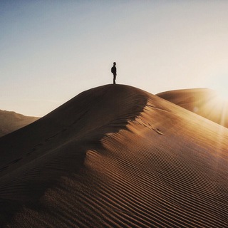 Логотип @alexskalin - Alexskalin - самый рукожопый фотограф России 📸