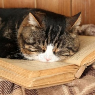 Логотип @alexstranniknews - Strannik | News 🗞