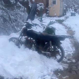 Логотип @alfa_legendachina - Спайсы(апасная альфа🔥💦)