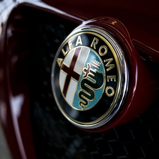 Логотип @alfaromeorussia_chat - Alfa Romeo Russia chat
