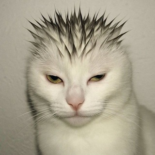 Логотип @alfiegrendemor - трип хаус Евы Элфи