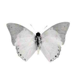 Логотип @algophoby - алгофоби