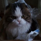 Логотип @alicedark - Хуеем. Заметки