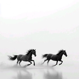 Логотип @aliienen - AlQalb