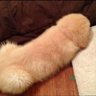 Логотип @alinamems - Смехуёчки