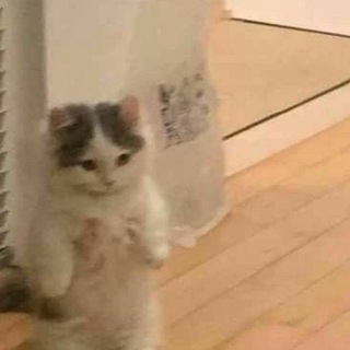 Логотип @alinanikitina4you - Переход в "фоточки от тянок"