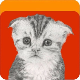 Логотип @aliprofi - Али Профи