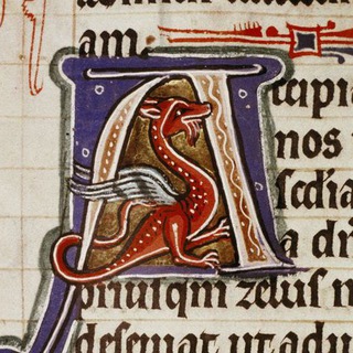 Логотип @aliquomodo - aliquomodo