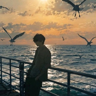 Логотип @alishanedit - Блог Алишана ✨