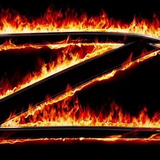 Логотип @alksnis - Ирина Алкснис