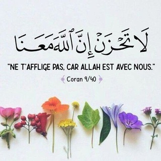 Логотип @allahestavecnous - « 𝐍𝐞 𝐭’𝐚𝐟𝐟𝐥𝐢𝐠𝐞 𝐩𝐚𝐬, 𝐜𝐚𝐫 𝐀𝐥𝐥𝐚𝐡 𝐞𝐬𝐭 𝐚𝐯𝐞𝐜 𝐧𝐨𝐮𝐬 » { لَا تَحْزَنْ اِنَّ اللّٰهَ مَعَنَا}