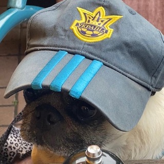 Логотип @allanstewart - никто не вуди аллен