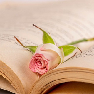 Логотип @allascuoladivina - Alla Scuola Divina