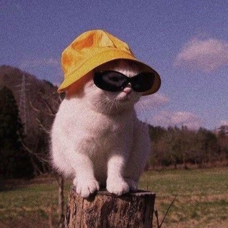 Логотип @alldaymemess - MNK